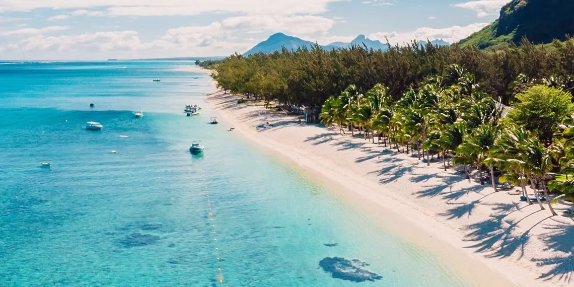 Government Incentives for Investors in Mauritius