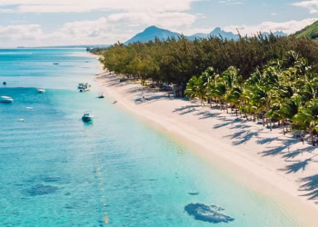 Government Incentives for Investors in Mauritius