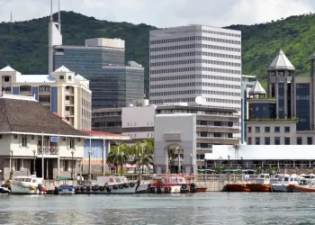 How to Make Strong Professional and Social Connections on the Island for Expats in Mauritius