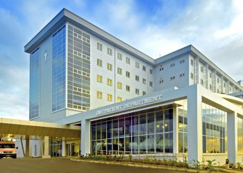 Healthcare in Mauritius: Public vs. Private Options for Expats