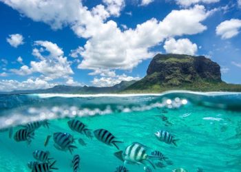 Global Tax Breaks for Businesses and Investors: Maximizing International Opportunities